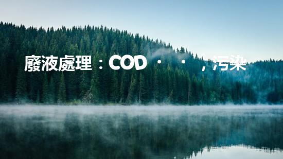 廢液處理：COD，污染之源還是解決之道？